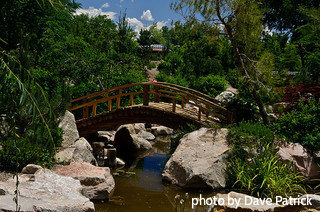 Arched wooden bridge over top of narrow koi pond with big rocks on both sides, decorative garden bridges, backyard garden decor.