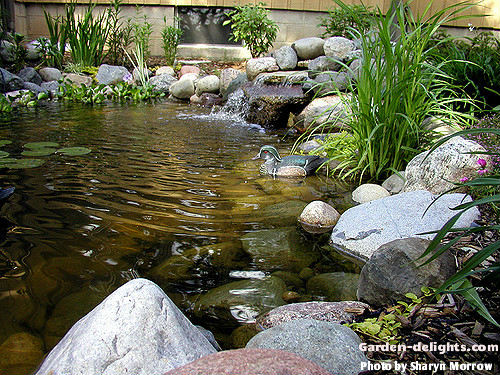  Backyard pond design with surrounding rock boulders with small waterfall cascading feature over rocks with marginal water plants and water lilies floating in the water with a small duck garden ornament floating in the water, pond landscaping ideas, backyard pond kits, garden pond idea pictures, amazing small backyard ponds and waterfalls, small backyard pond, awesome backyard ideas, building a dream garden pond. All sizes and shapes ponds can also be surrounded by a few plants and stones and other different levels of marginal plants and vegetation creating a beautiful backyard space affordable and on a budget.