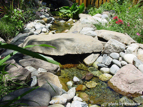 Backyard water stream going under big rock Bridge surrounded by plants, water pump filters, backyard garden submersible pumps.