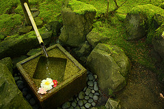 Bamboo reed pouring water into a green moss filled top basin, garden water features, outdoor feng shui water fountains.