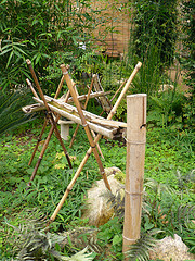 Bamboo waterspout coming out of ground pouring into bamboo trough with sticks crossed holding up waterflow. Bamboo water fountains, feng shui water fountains.