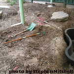 Digging Your Pond, Backyard Pond Step-By-Step Design, backyard pond instructions.
