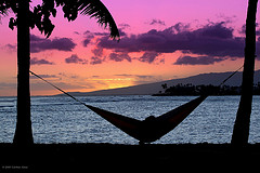 Hammock between two trees at sunset on island,Fabric Hammocks,Hammocks.