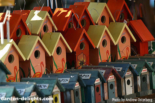  Whole row of fancy wooden bird houses painted different colors, yellow, orange, green, white with some that have small doors on the front and pink flamingos painted on the front that will bring life and charm to your backyard garden with winged activity from a different variety of birds, bird feeders houses, bird houses Google, Yahoo, rustic wooden birdhouse, birdhouse ideas, creative birdhouses, colorful birdhouses, artistic birdhouses, favored birdhouses for your garden, adding bird houses and feeders to your backyard, patio, garden is an easy way to attract motion and natural life to your outdoor living area.