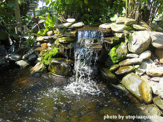 Small backyard waterfall flowing over shale rocks into reflecting pond, backyard garden pumps, ornamental garden pumps.