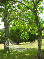 Hammock hanging between two trees,Hanging Hammocks,rope hammocks.