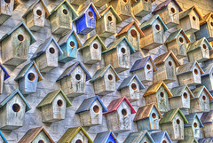Small handmade birdhouses in multiple colors hanging on a wall, homemade bird houses, birdhouse picture.