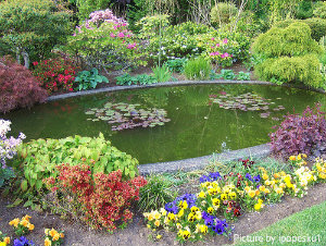 Large oval pond with floating lily accents and surrounding vegetation with stonework edging, garden pond maintenance, outdoor pond cleaning tips.