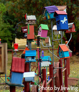 Multiple designs and colored birdhouses on metal poles, homemade craft birdhouses, unique birdhouses.