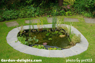 Small backyard pond with flowers around edge with large decorative stone edging around the pond. Becorative water lilies, backyard pond planning.