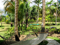 Patio hammocks, outdoor patio hammocks,Patio Hammock sourounded by palm trees.