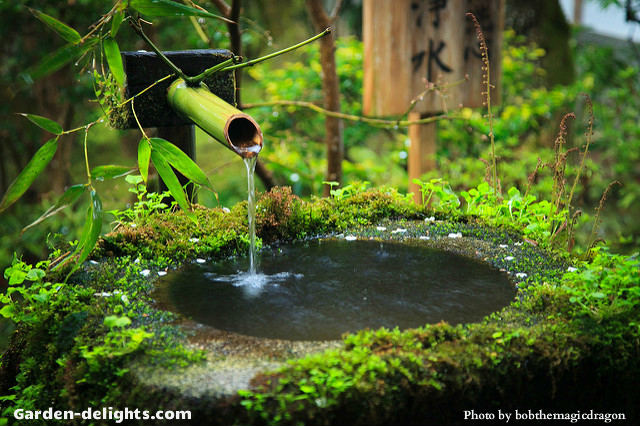  Green bamboo water fountain stick pouring water over small water basin with green garden vegetation around the rim. Garden design ideas bamboo fountains, fountain fits, Walmart fountains, bamboo spout, small fountain, fountains and basins, feng shui tabletop fountain.
