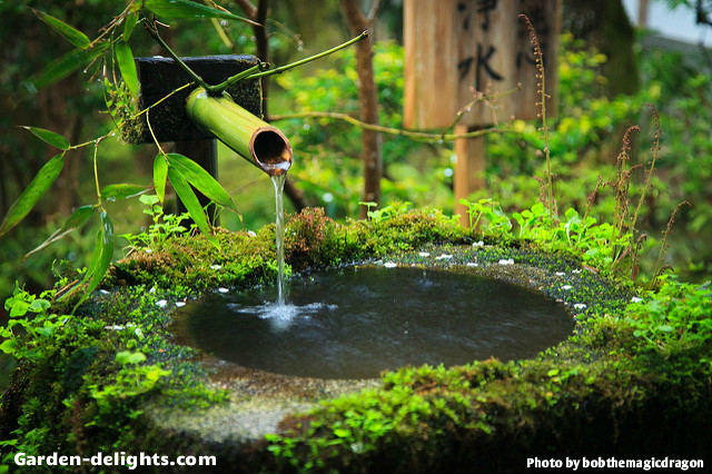  Tsukubai water fountain with green bamboo reed pouring into small water bowl with green moss around the outside rim surrounded by a Japanese garden theme, Japanese stone water-based, Tsukubai water fountain for sale, Japanese water chime, Japanese-style water garden design, water gardening ponds, garden patio Japanese water feature, small garden Zen pond. This Japanese water feature will provide you a beautiful tranquil garden space allowing for peace meditation.