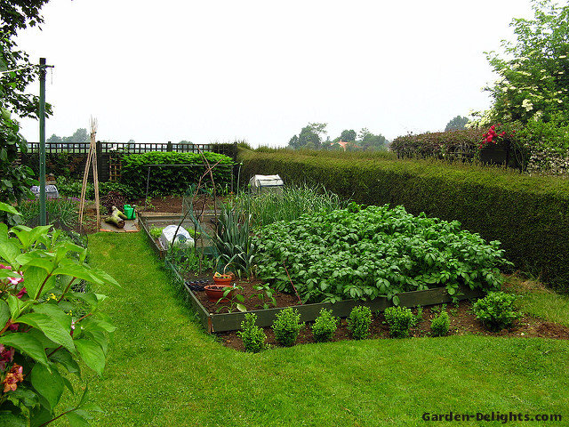 green luscious backyard garden surrounded by hedges,Composting, composting methods,types of composting,purpose of composting.