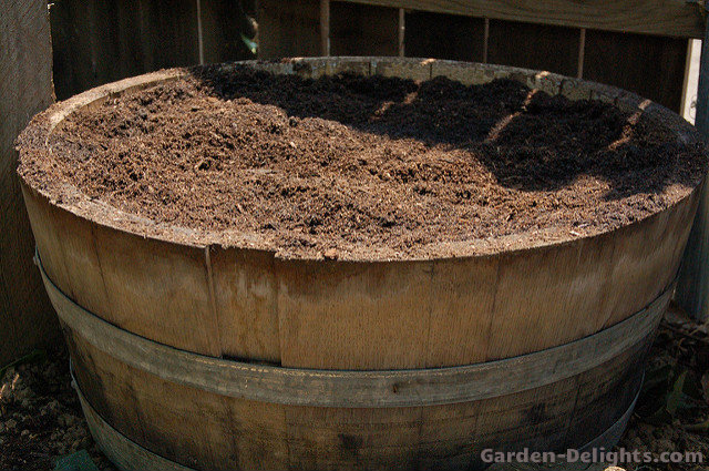 Clean organic soil In barrel that has been composted,organic soil nutrients, barrel compost,nourish soil naturally, growing vegetables in containers