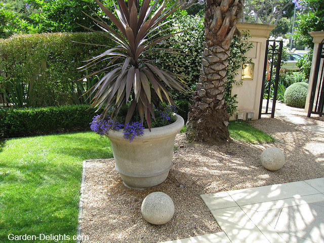 Large leafed plant in cement pot on gravel landscape, inorganic mulches, gravel mulch, color mulching, garden weed control, spectacular container gardening.