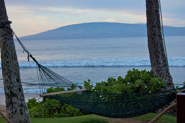 Hammock hung between two palm trees in front of ocean ,hanging Hawaiian hammocks guide, hanging hammocks outdoors.