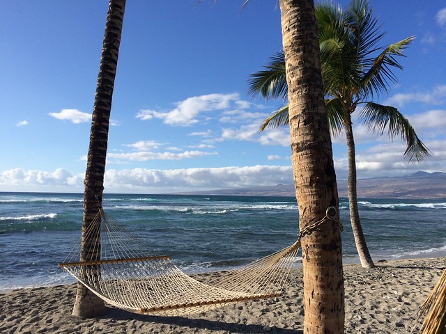 Hawaiian rope hammock hung on two trees on beach, Hawaiian hammocks ,hanging Hawaiian hammocks, hanging Hawaiian hammocks guide.