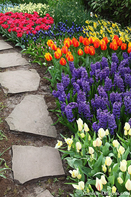 Multicolored flower bed with stone pathway, minimize water usage, purple flowers, white roses, red roses, garden flower bed. 