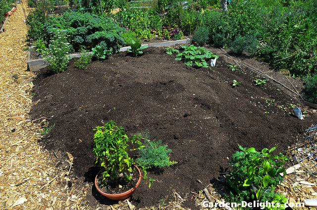 Dark fresh organic compost soil surrounded by green vegetation in garden, how to make compost, composting process, best compost to buy, what to do with compost, compost fertilizer recipe.