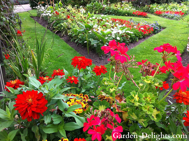 Red flowers in dugout heaped garden beds surrounded by grass, fun gardening, gardening made easy.