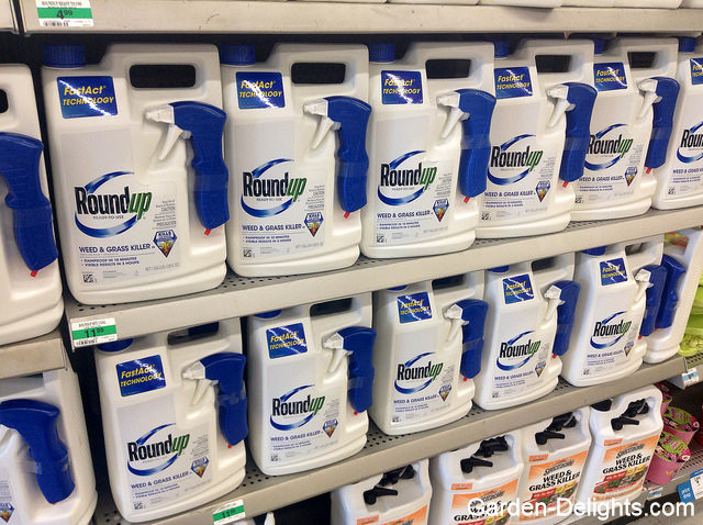 Shelves filled up with Roundup chemical herbicide, chemical weed control methods, chemical fertilizers, herbicide weed treatments, weed control sprayers.