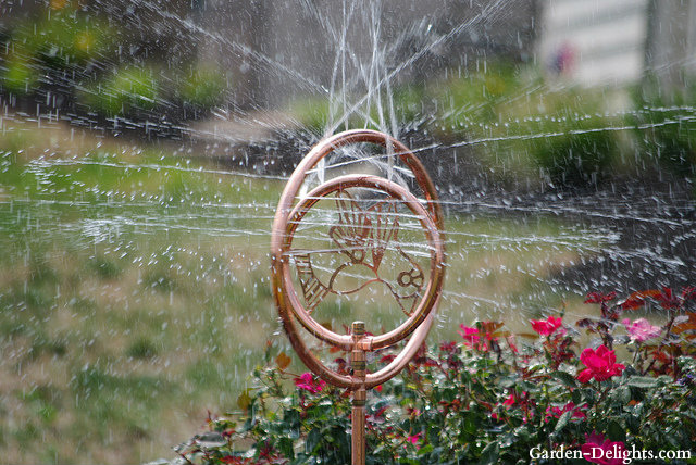 Two spinning brass rings water sprinkler spraying water with red flowers. Lawn watering tips, when to water plants, water plants outdoor, watering plants indoor.